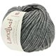 Lana Grossa LANDLUST WINTERWOLLE | 08-Mittelgrau meliert