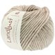 Lana Grossa LANDLUST WINTERWOLLE | 24-Taupe meliert