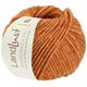 Lana Grossa LANDLUST WINTERWOLLE | 30-Rost meliert