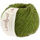 Lana Grossa LANDLUST WINTERWOLLE | 36-Apfelgrün meliert