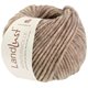 Lana Grossa LANDLUST WINTERWOLLE | 37-Beige meliert