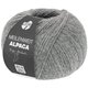 Lana Grossa MEILENWEIT 100g Alpaca | 2014-Grau