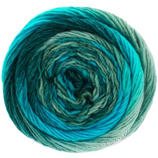 Lana Grossa MEILENWEIT 100g Color Mix Soft