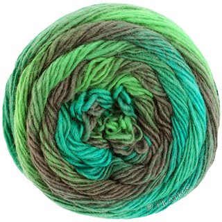 Lana Grossa MEILENWEIT 100g Color Mix Soft