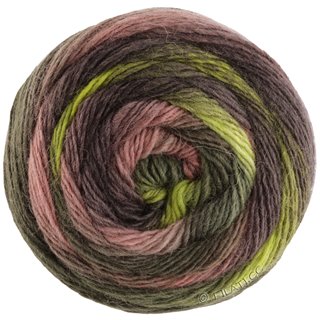Lana Grossa MEILENWEIT 100g Color Mix Soft
