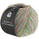 Lana Grossa MEILENWEIT 100g Cotton Bamboo Sole Mix | 6414-
