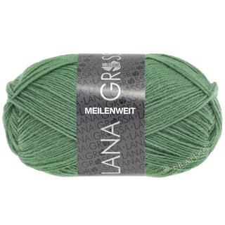 Lana Grossa MEILENWEIT 50g