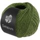 Lana Grossa SETAPURA | 18-Avocadogrün