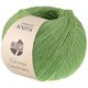 Lana Grossa SUMMER CASHMERE | 24-Grün