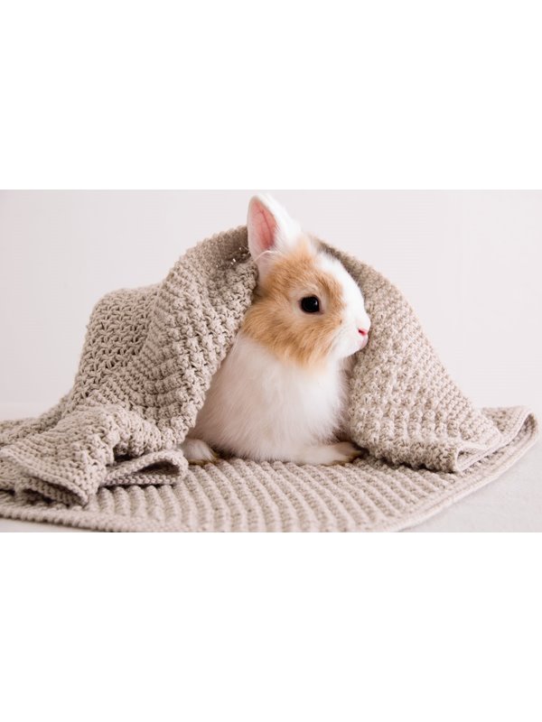 Lana Grossa DECKE Cool Wool Baby