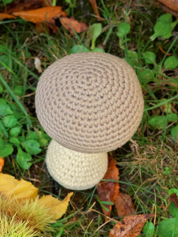 Lana Grossa PILZ Star