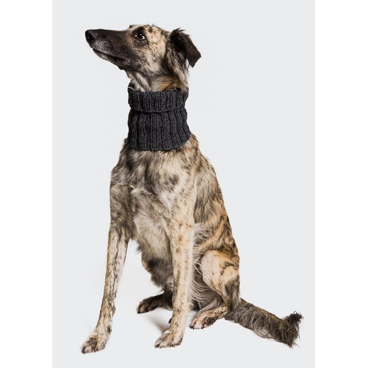 DIY STRICKSET Hundeloop <br> (50g Merino Wool) | 004-Anthrazit