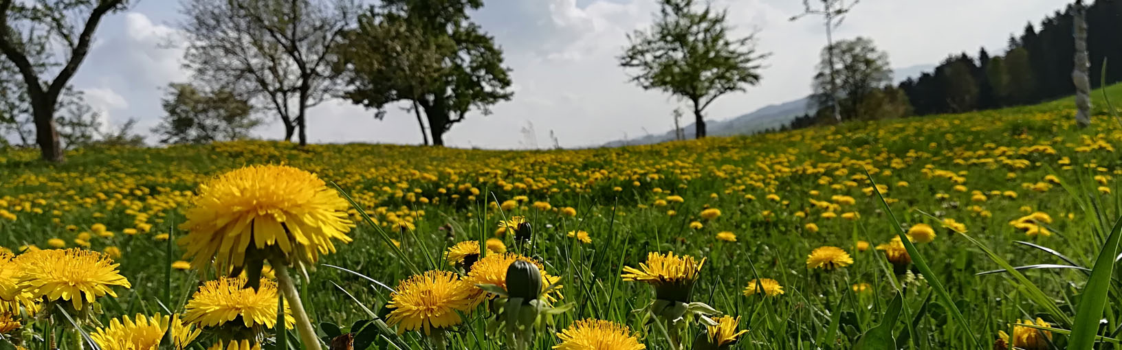 HOCHWERTIGE QUALITÄT & KREATIVES STRICKDESIGN Modellpakete<br>